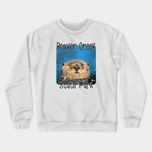 Beaver Creek State Park, Ohio Crewneck Sweatshirt by MMcBuck